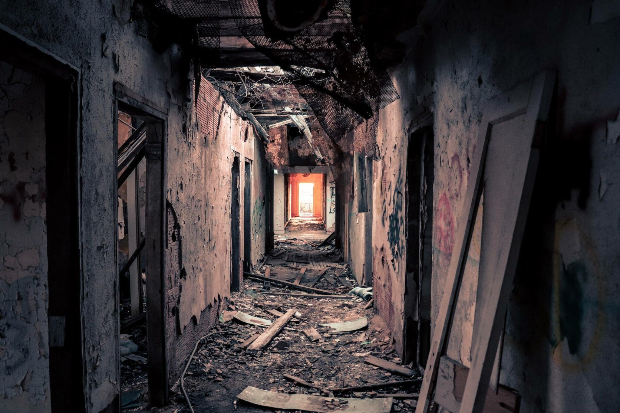 Rat Infested Property
