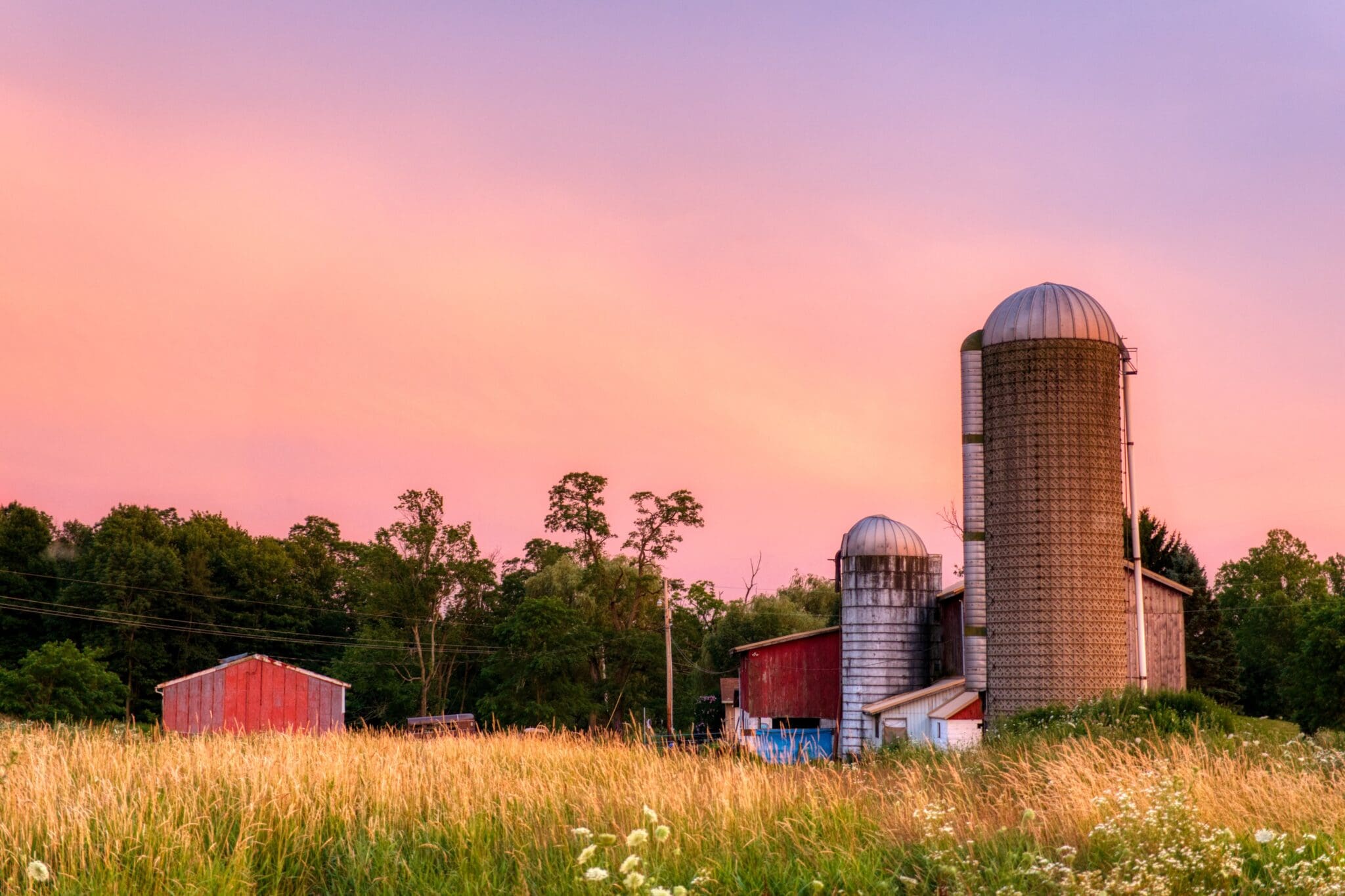 view of a farm in the sunset