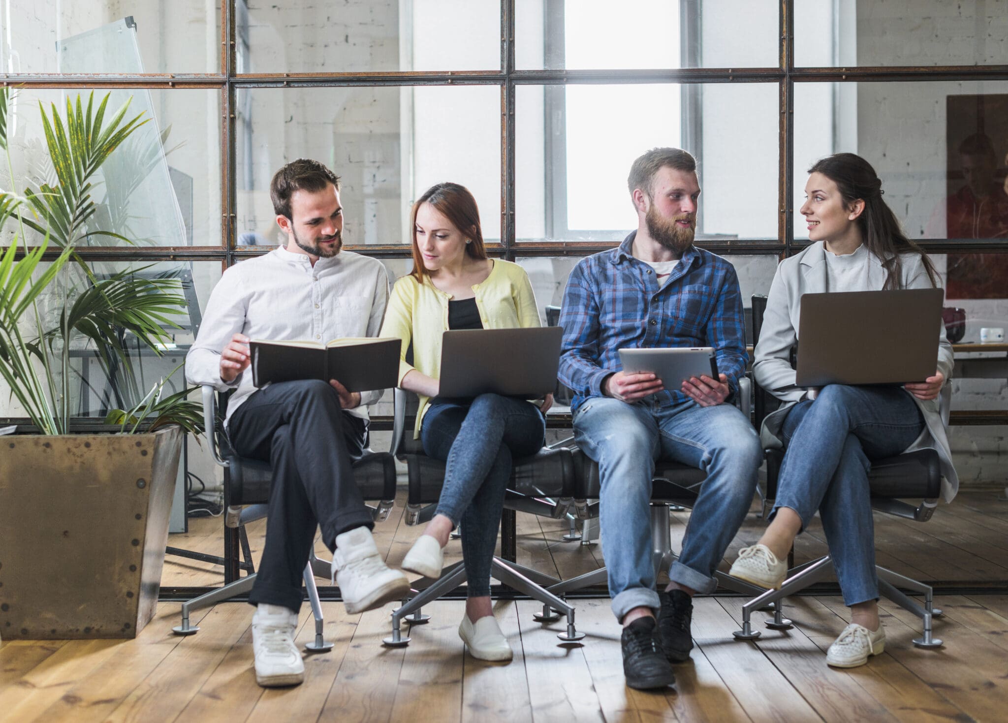 accountants working on laptops