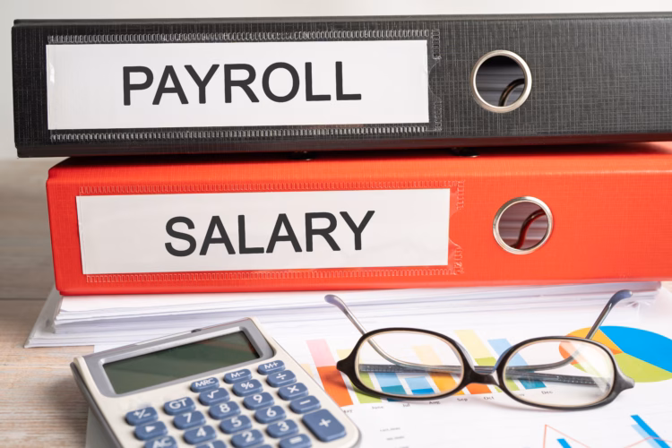 Payroll salary. Binder data finance report business with graph analysis in office.