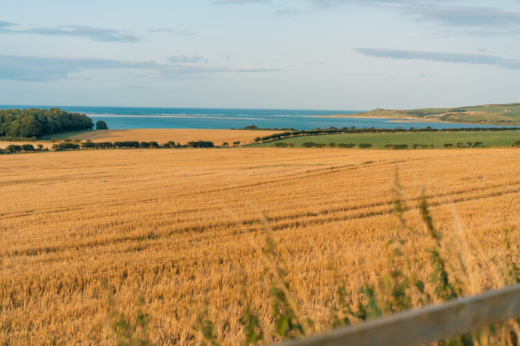 UK farmland where farmers may claim averaging relief under MTD