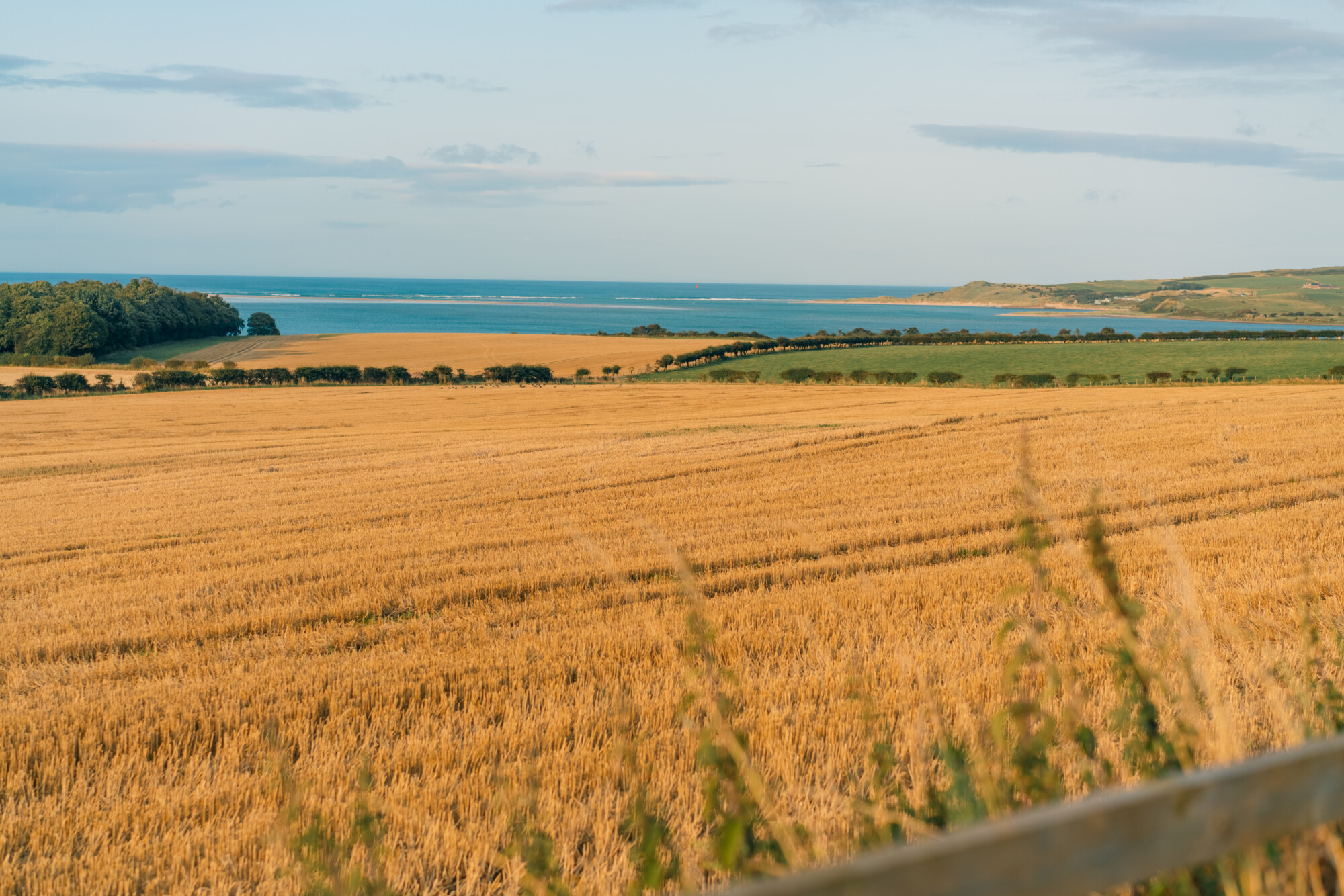 UK farmland where farmers may claim averaging relief under MTD